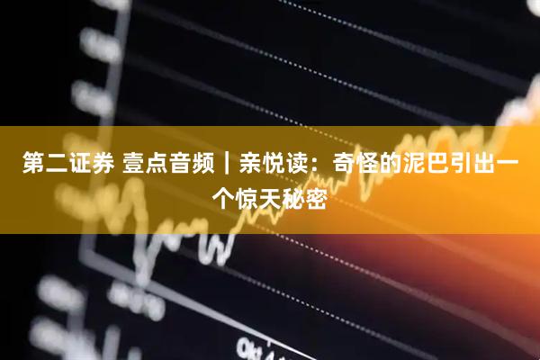 第二证券 壹点音频｜亲悦读：奇怪的泥巴引出一个惊天秘密