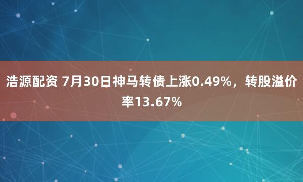 浩源配资 7月30日神马转债上涨0.49%，转股溢价率13.67%