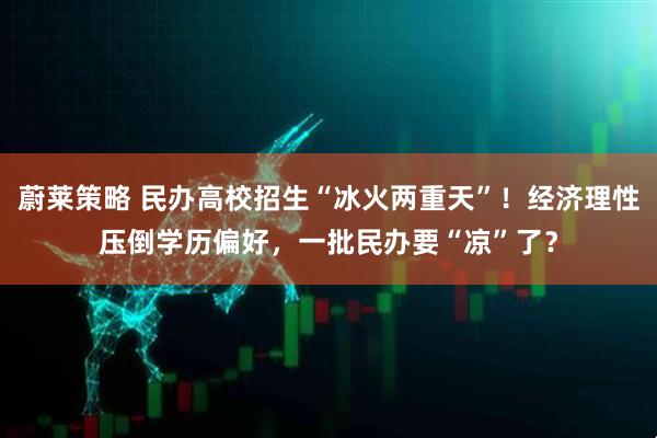蔚莱策略 民办高校招生“冰火两重天”！经济理性压倒学历偏好，一批民办要“凉”了？