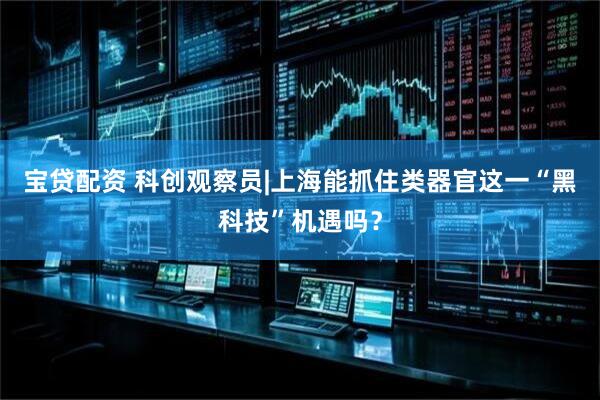 宝贷配资 科创观察员|上海能抓住类器官这一“黑科技”机遇吗？