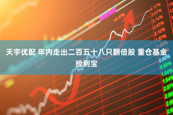 天宇优配 年内走出二百五十八只翻倍股 重仓基金捡到宝