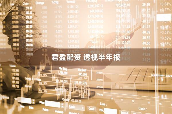 君盈配资 透视半年报
