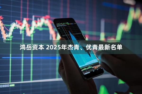 鸿岳资本 2025年杰青、优青最新名单