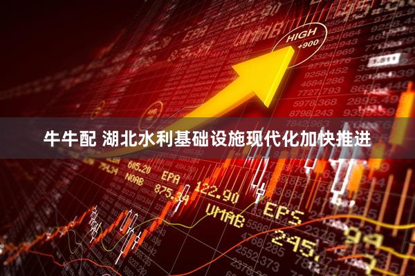 牛牛配 湖北水利基础设施现代化加快推进