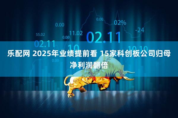 乐配网 2025年业绩提前看 15家科创板公司归母净利润翻倍