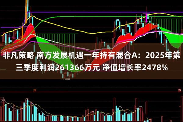 非凡策略 南方发展机遇一年持有混合A：2025年第三季度利润261366万元 净值增长率2478%